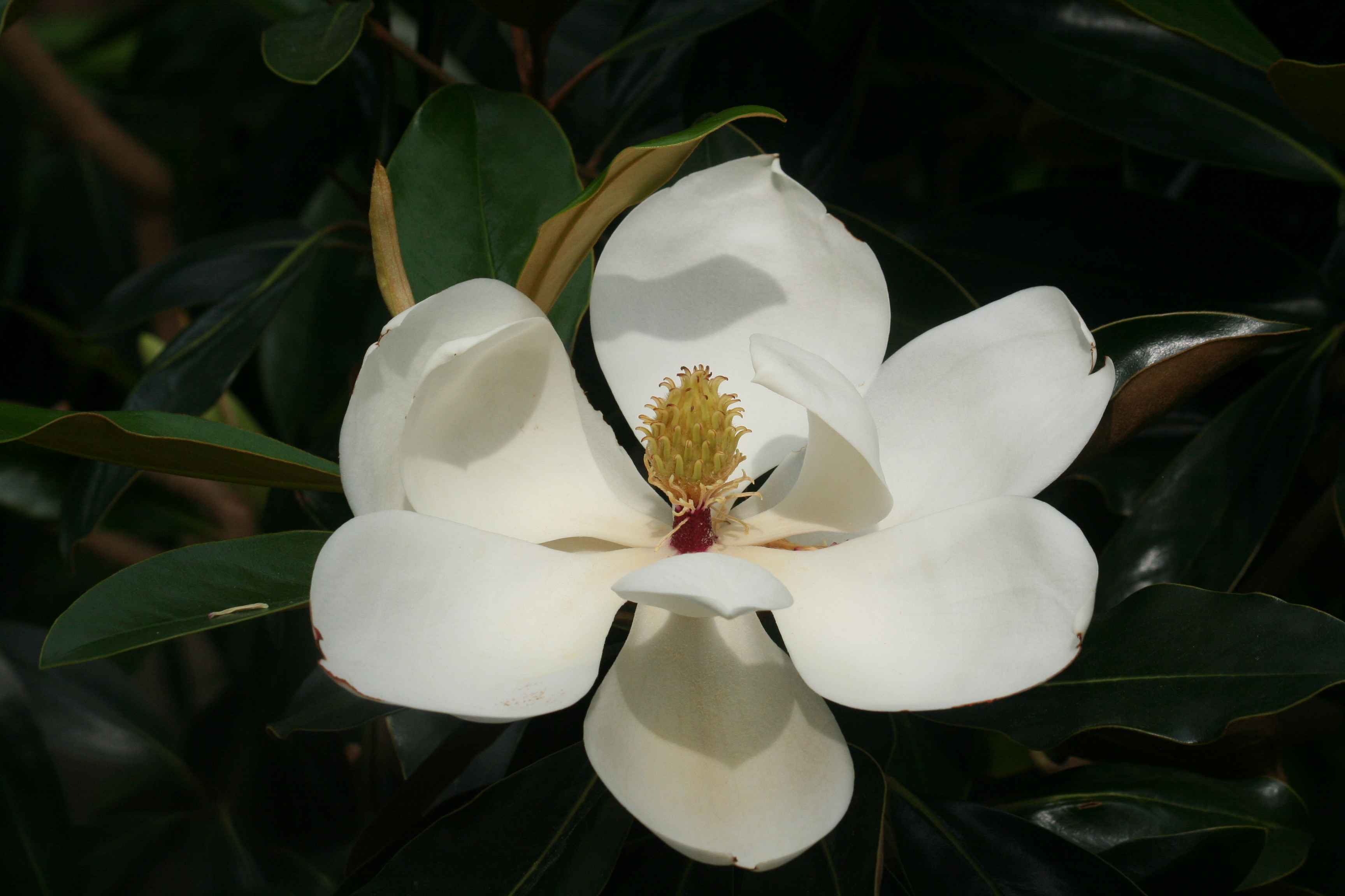 Slideshow image 0