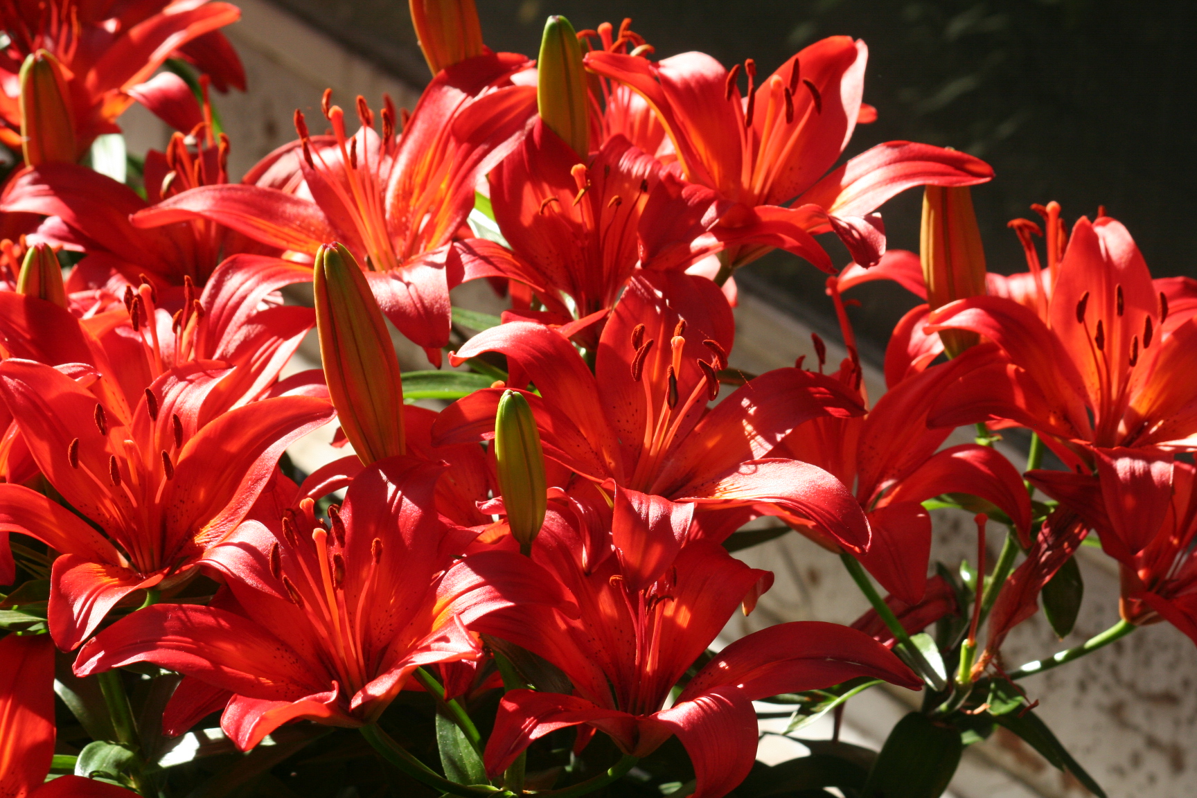 Slideshow image 1