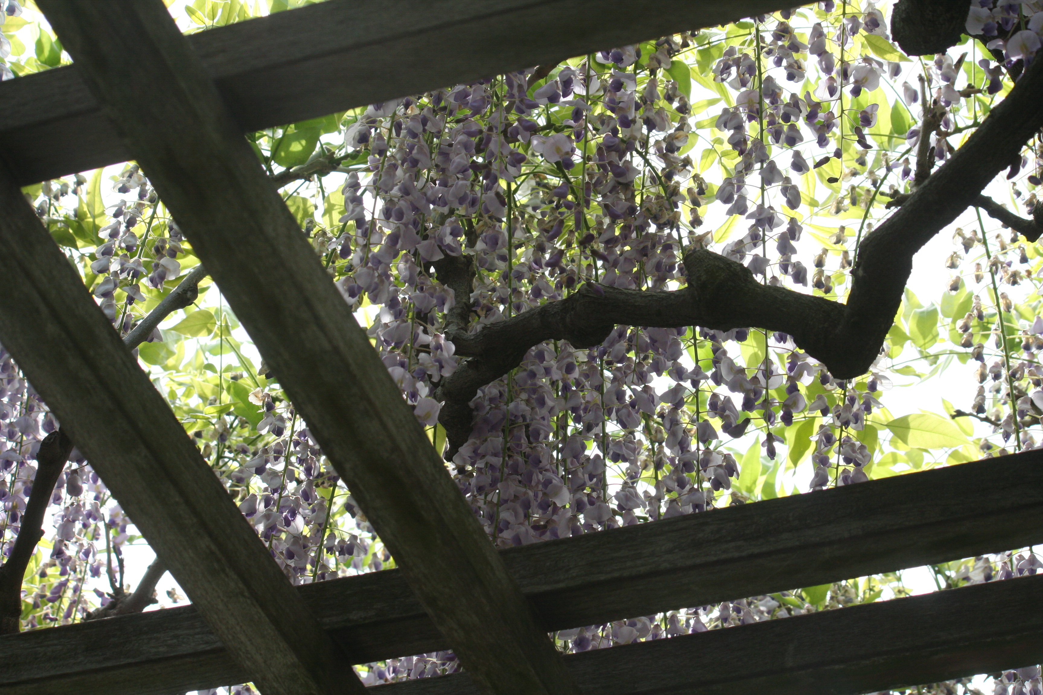 Slideshow image 3
