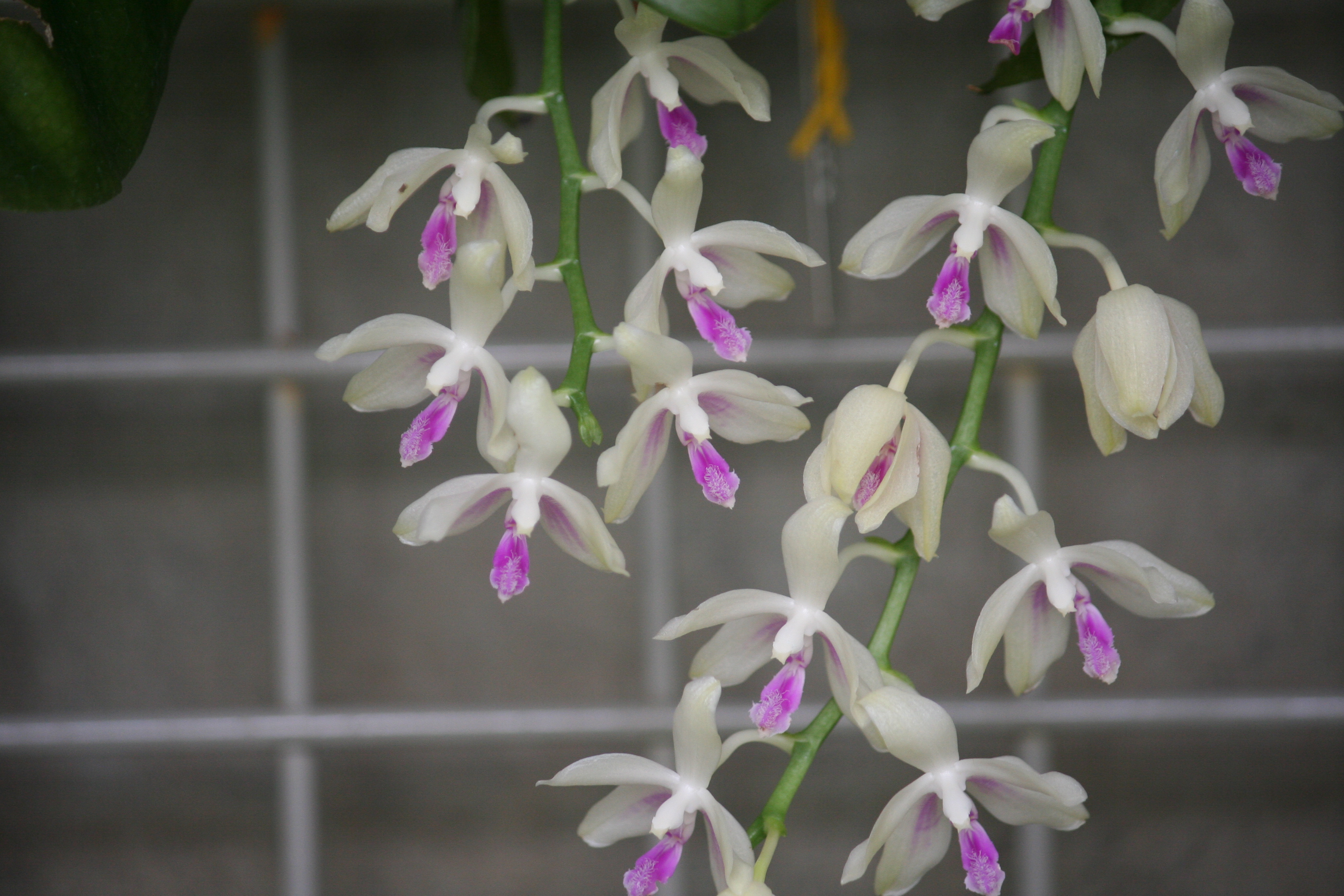 Slideshow image 6