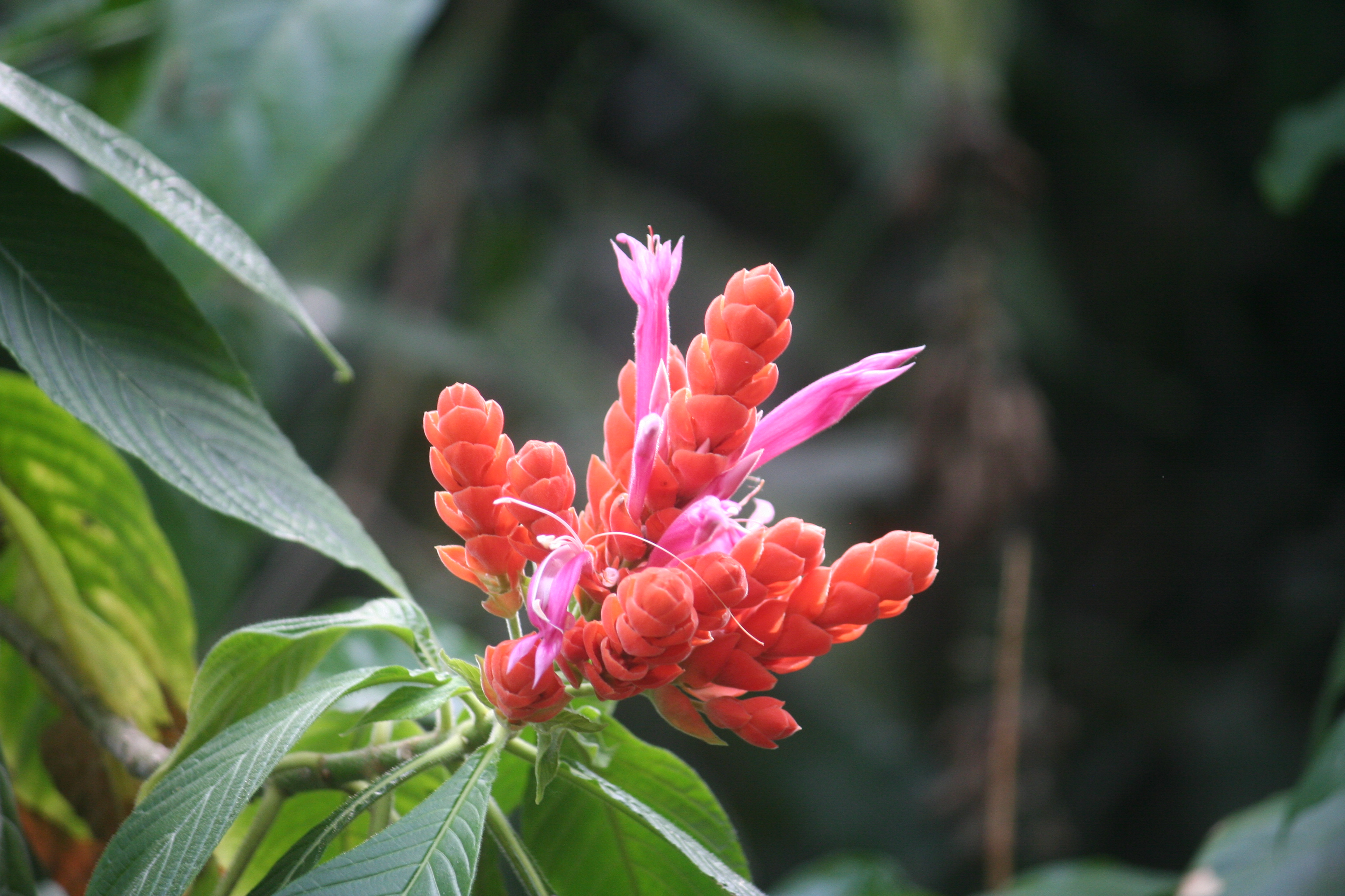 Slideshow image 8