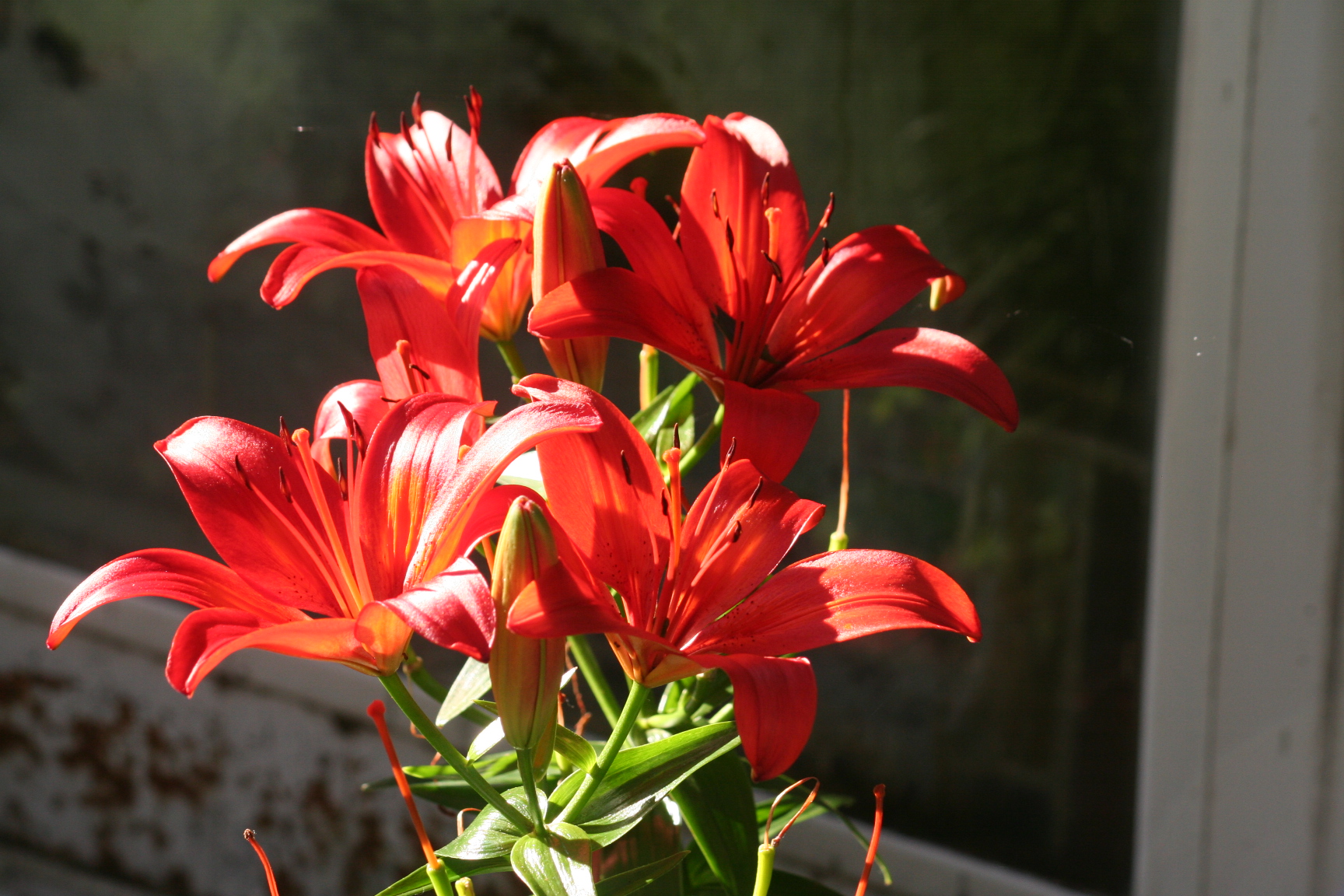 Slideshow image 9
